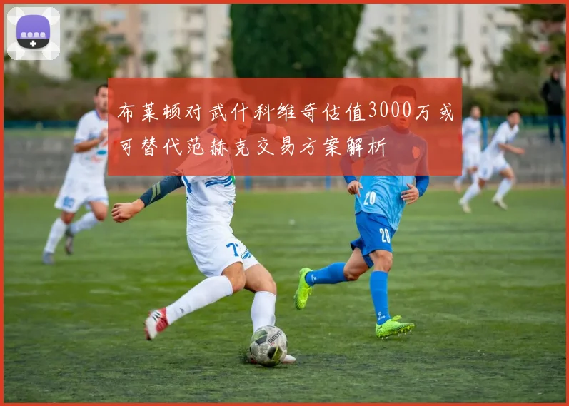 布莱顿对武什科维奇估值3000万或可替代范赫克交易方案解析